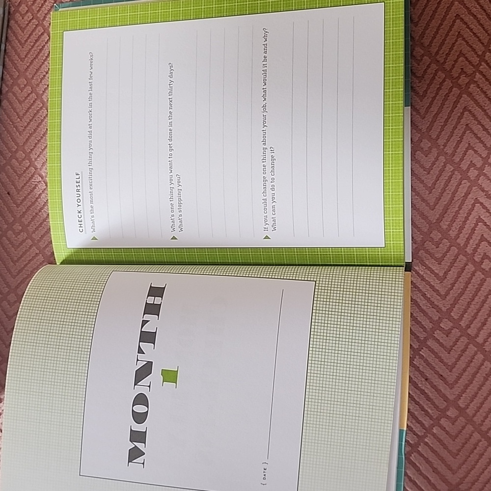 Work in Progress Goals Journal - Picture 8 of 8